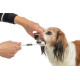 Spazzolino Trixie a 3 teste per cane e gatto