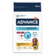 Advance Sensitive con agnello e riso per cane