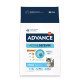 Advance Kitten per gattino