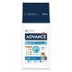 Advance Adult High Protein con pollo e riso per gatto