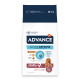 Advance Medium Senior con pollo e riso per cane