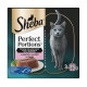 Sheba Perfect Portions Luxe Paté con salmone cibo umido per gatti (6 x 37,5 g)