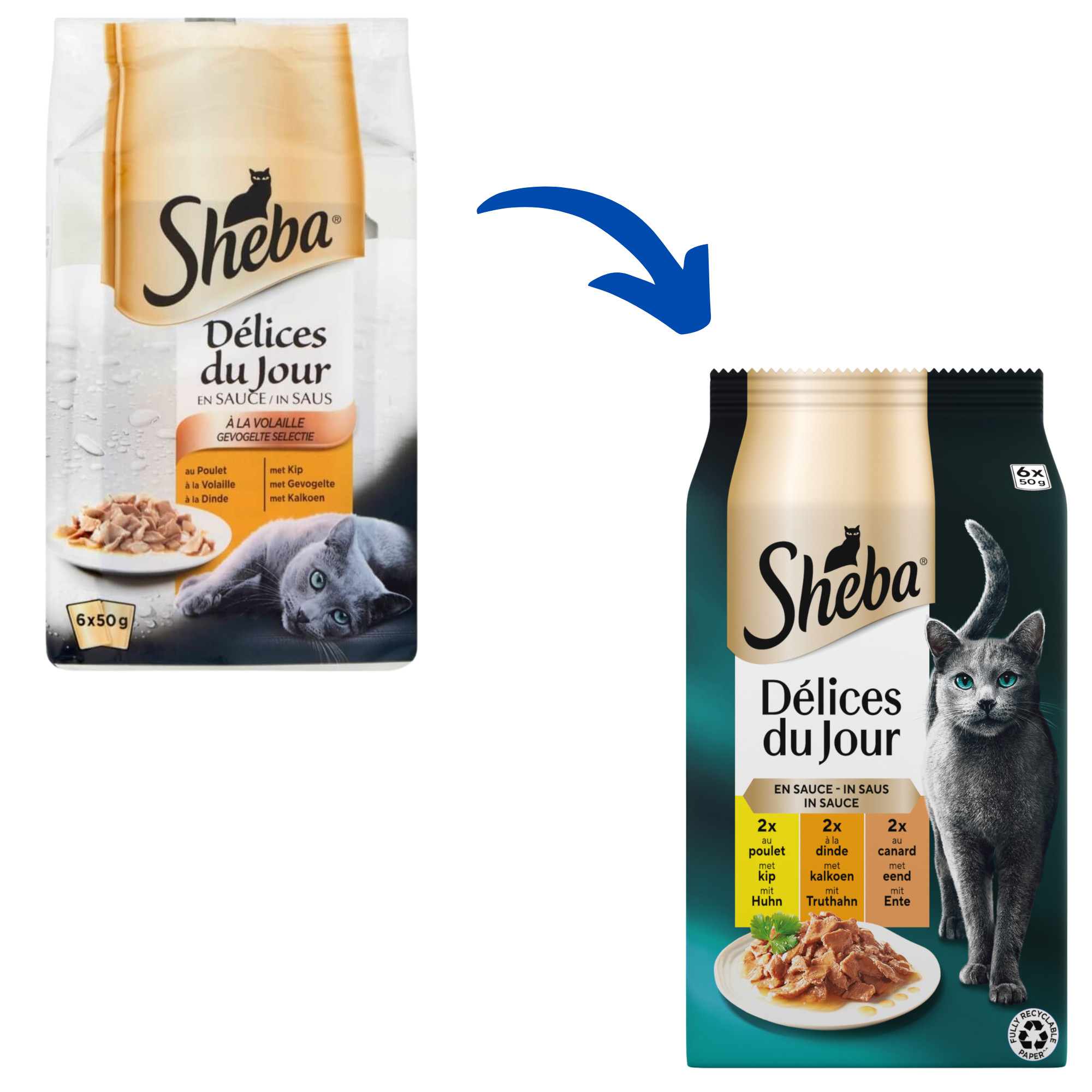 Sheba Delices du Jour con pollame in salsa per gatto multipack (50g)