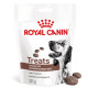 Royal Canin Gastrointestinal Treats snack per cane