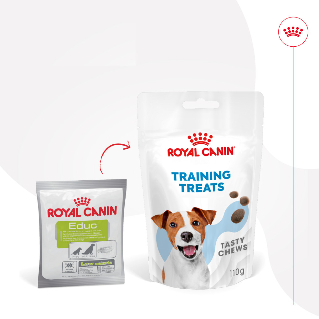 Royal Canin Training Treats ricompensa per cane