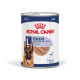 Royal Canin Maxi Adult Loaf cibo umido per cane