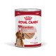 Royal Canin Medium Adult Loaf cibo umido per cane
