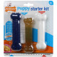 Nylabone Puppy Starterkit ossa da masticare in nylon per cuccioli (gusto pollo)