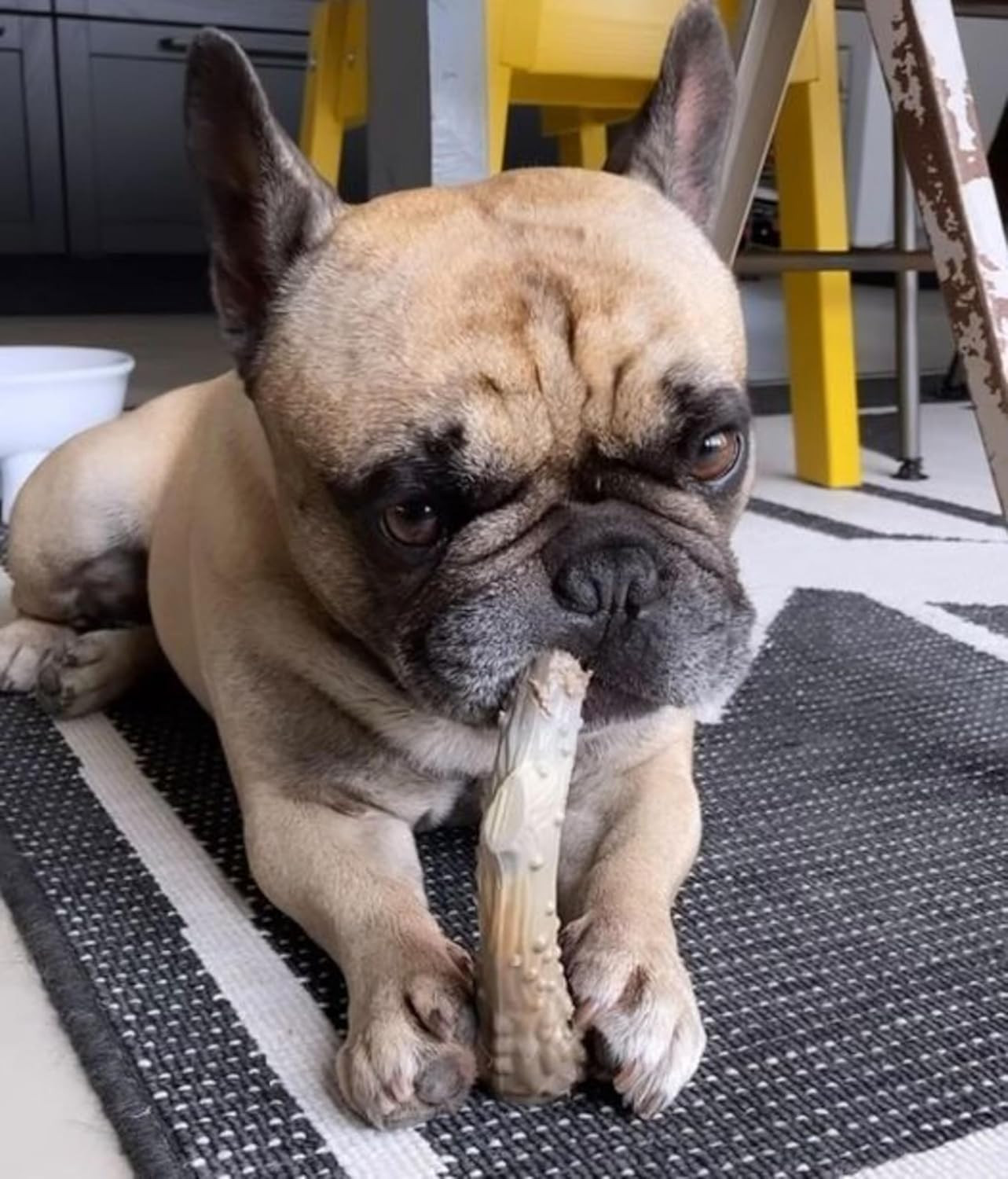 Nylabone Power Chew Antler nylon kauwspeelgoed hond (wildsmaak)