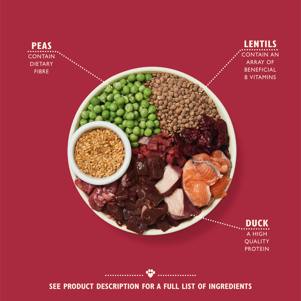 Lily's Kitchen Adult Wild Woodland Walk met eend, zalm en hert hondenvoer