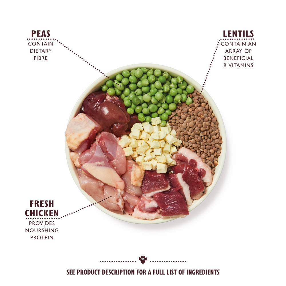 Lily's Kitchen Adult Countryside Casserole kip met eend hondenvoer