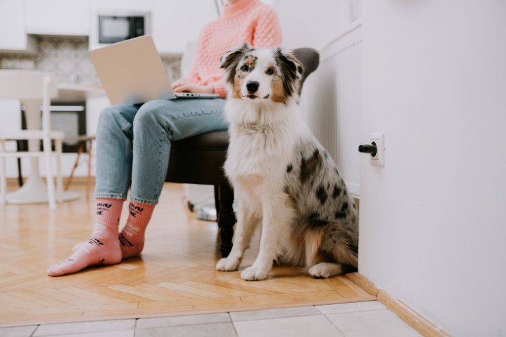 TickLess Home antivlo- en teken stekker voor in huis
