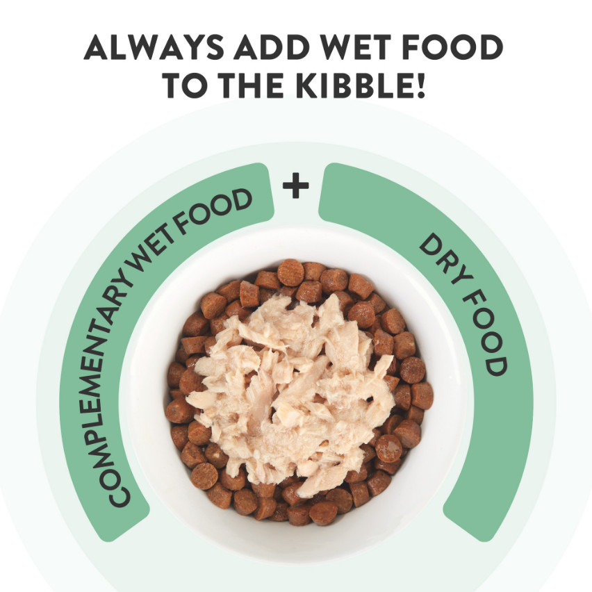 Schesir Cat Soup Wilde roze zalm en wortels