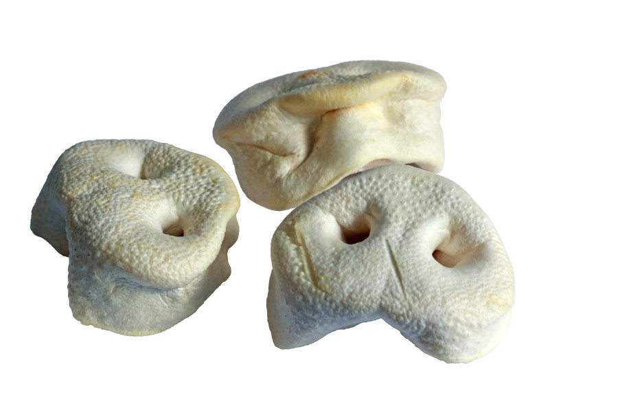 Brekz Snacks - gepofte varkensneus voor de hond