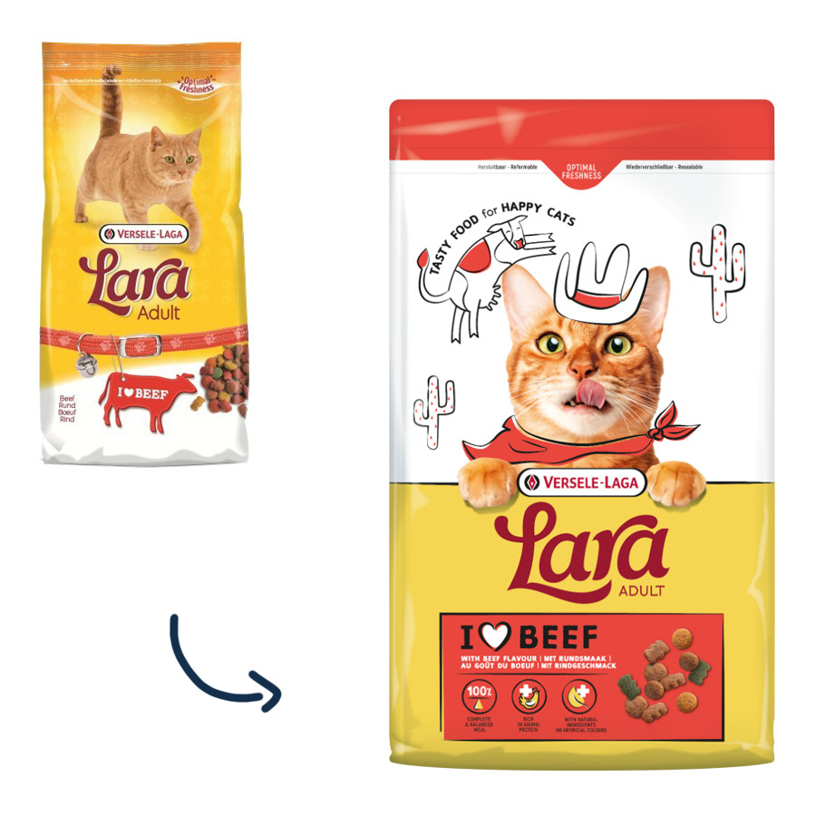 Versele-Laga Lara Adult al gusto di manzo per gatti