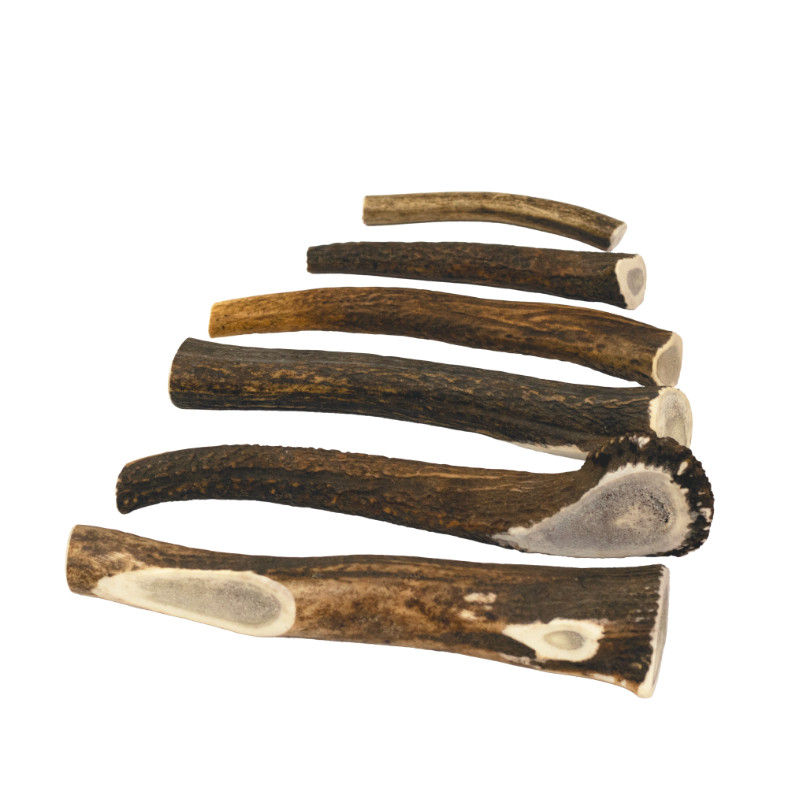 Brekz Snacks - Antler voor de hond