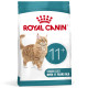 Royal Canin Ageing 11+ per gatto