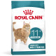 Royal Canin Ageing Sterilised 11+ per gatto