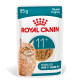 Royal Canin Ageing 11+ cibo umido per gatto (in salsa o gelatina)