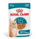 Royal Canin Ageing 15+ cibo umido per gatto (in salsa)