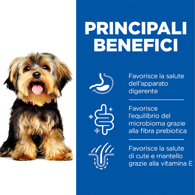 Hill's Adult Sensitive Stomach & Skin Small & Mini nat hondenvoer met kalkoen blik