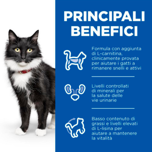 Hill's Mature Adult 7+ Sterilised Cat nat kattenvoer met kip en oceaanvis maaltijdzakje combipack