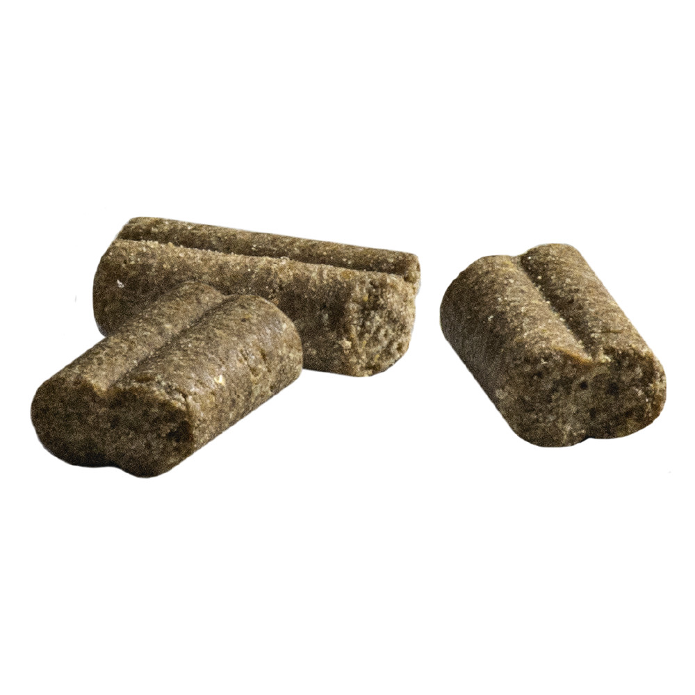 Prins ProCare Senior Hypoallergenic con agnello e riso per cane