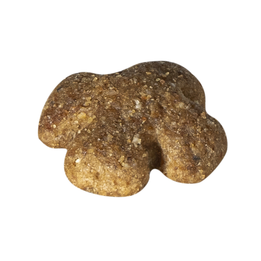 Prins Fit Selection pollo e riso per cane