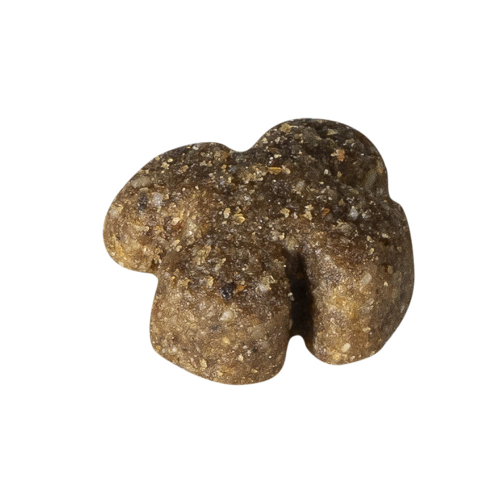 Prins Fit Selection con salmone e riso per cane