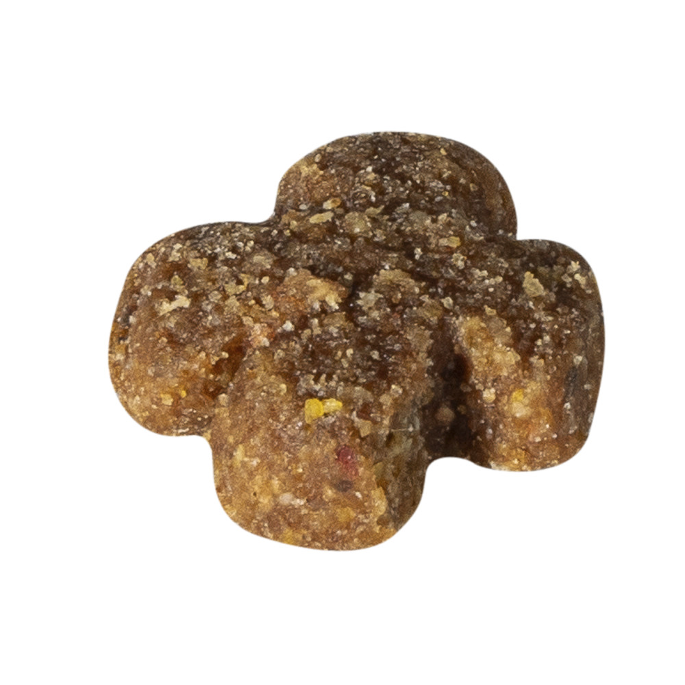 Prins Fit Selection Senior per cane