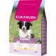 Eukanuba Puppy Medium pollo per cucciolo