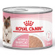 Royal Canin Mother & Babycat cibo umido per gatto (mousse)