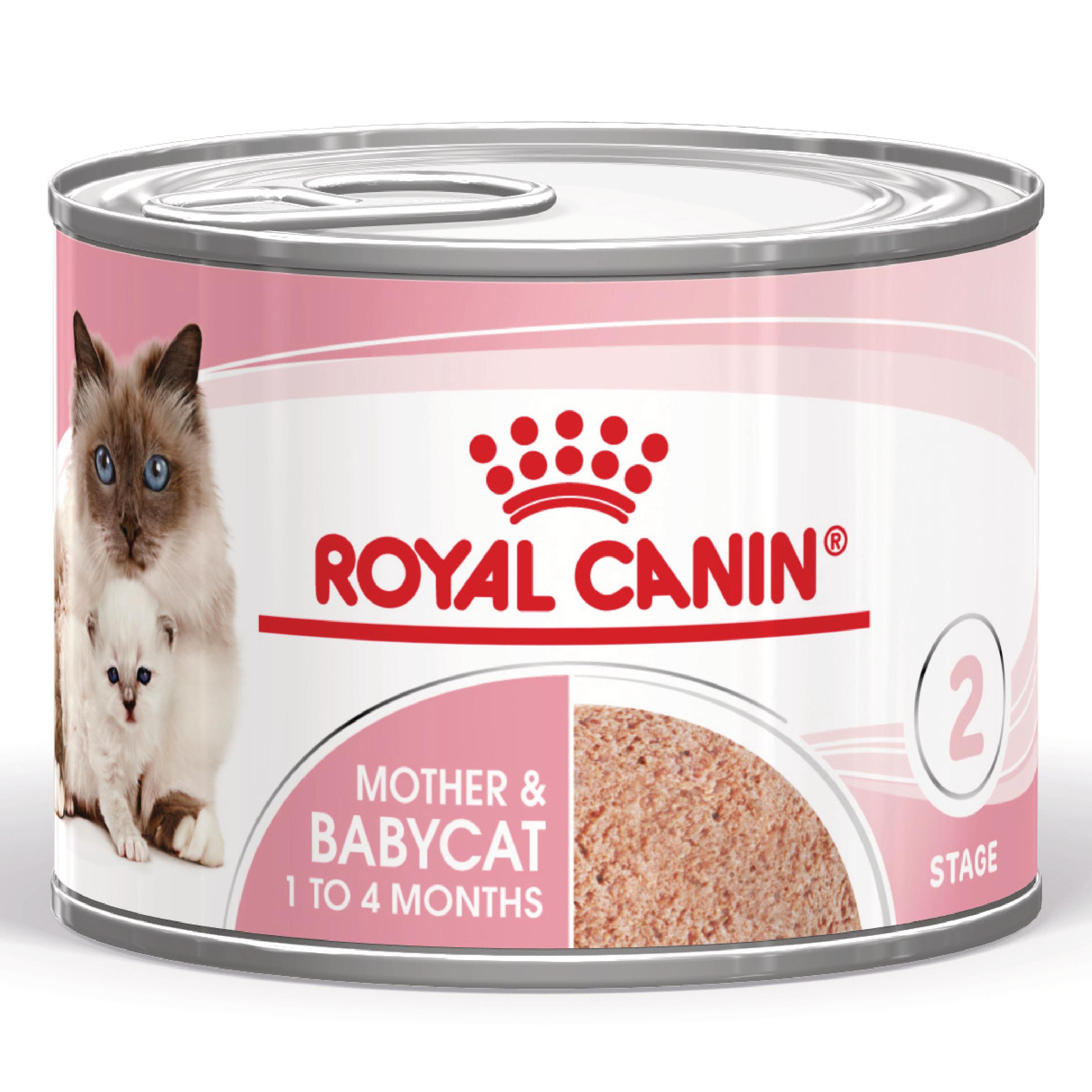 Royal Canin Mother & Babycat cibo umido per gatto (mousse)
