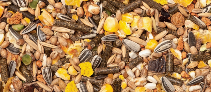 Kasper Faunafood Konijnenknaagmix