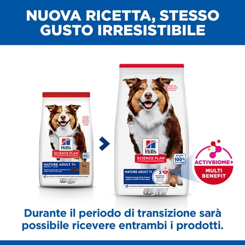 Hill's Mature Adult Medium con agnello e riso per cane