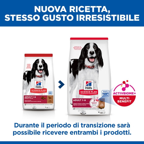 Hill's Adult Medium con agnello e riso per cane