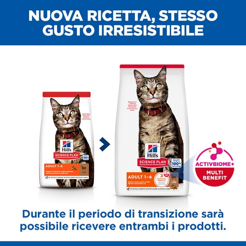 Hill's Adulto con agnello per gatto