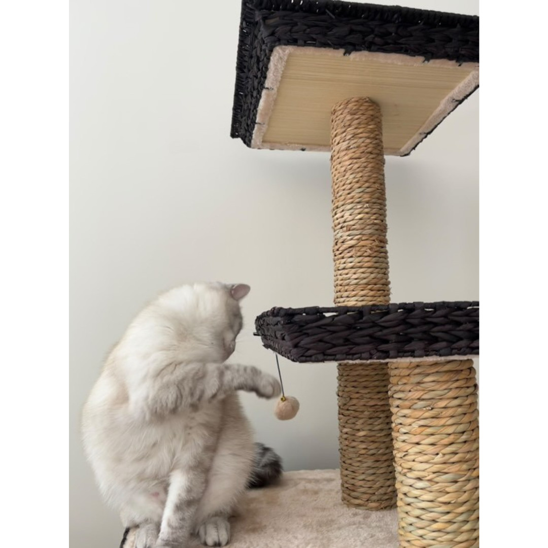 Krabpaal Trend Tree Curacao 48x48x141cm