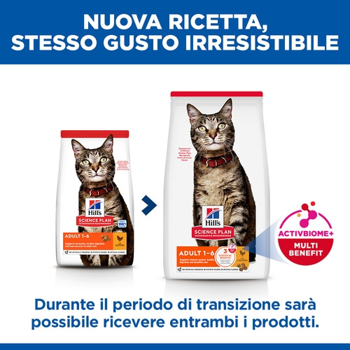 Hill's Adulto con pollo per gatto
