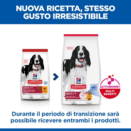 Hill's Adult Medium con pollo per cane