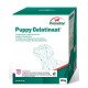 Primeval Puppy Gelatinato supplemento per cuccioli