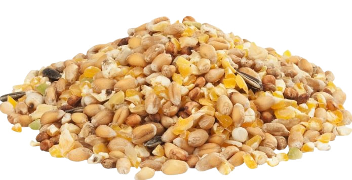 Versele Laga Country's Best GRA-Mix Ardennes cereali per pollame