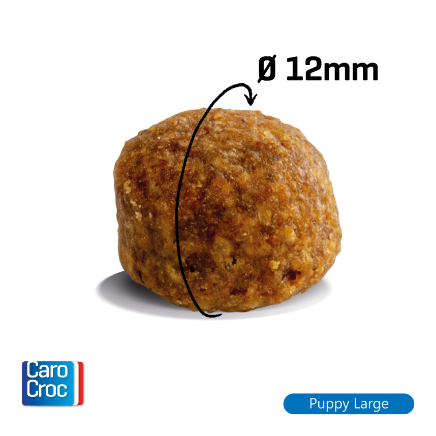 Carocroc 25/17 Puppy Large per cuccioli