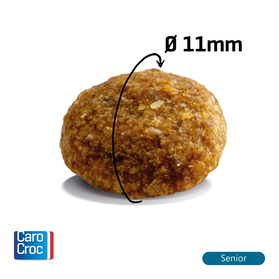 Carocroc 25/12 Senior per gatti