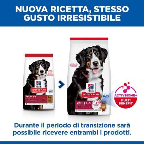 Hill's Adult Large con agnello e riso per cane