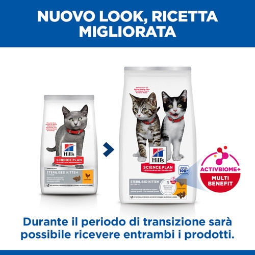 Hill's Kitten Sterilised con pollo per gatto