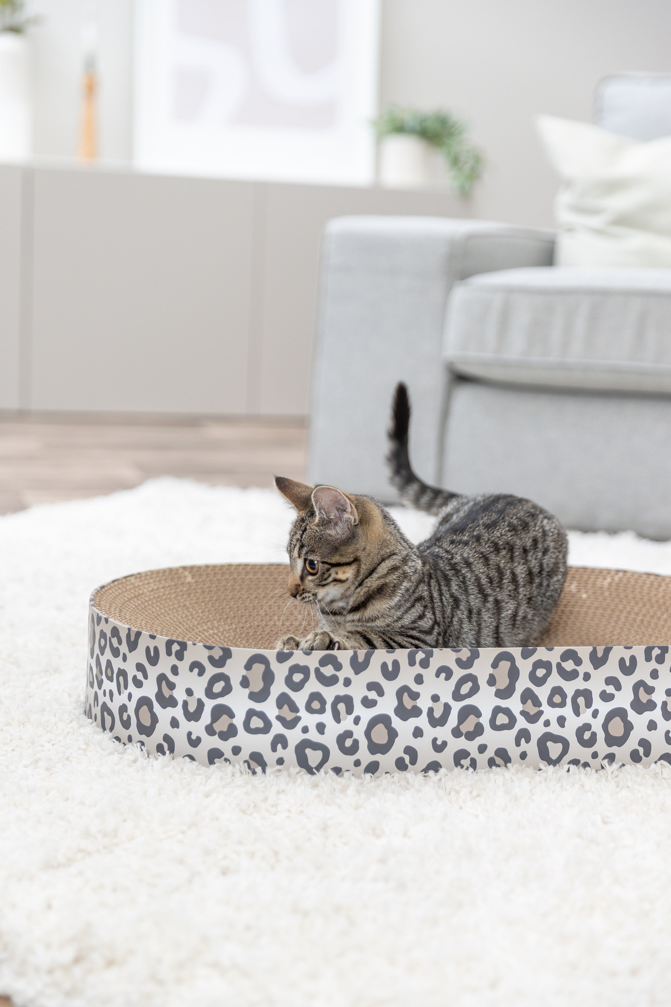 Krabmand Leo met catnip voor de kat