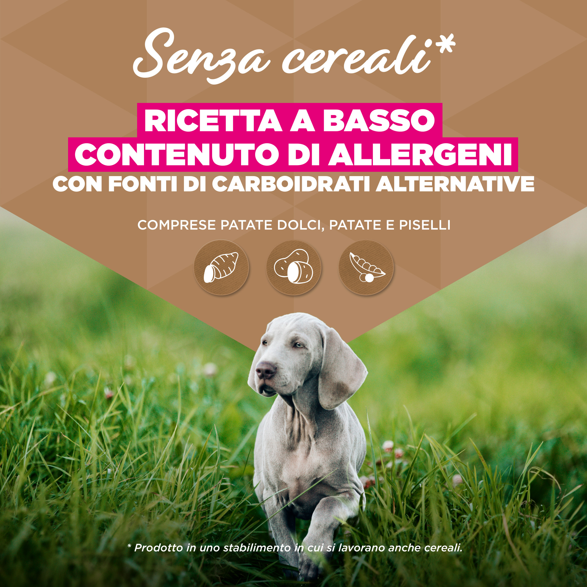 Eukanuba Puppy & Junior L/XL graanvrij zeevis hondenvoer