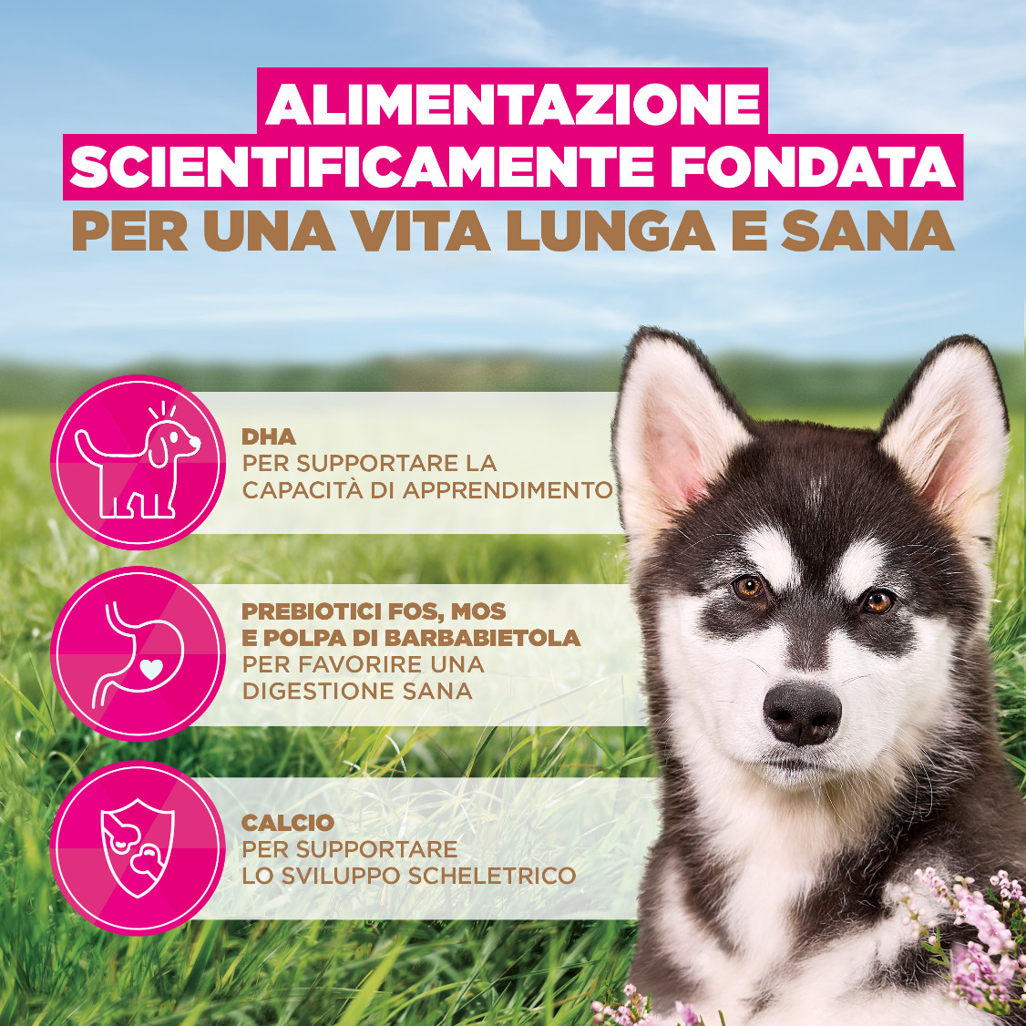 Eukanuba Puppy & Junior L/XL graanvrij zeevis hondenvoer