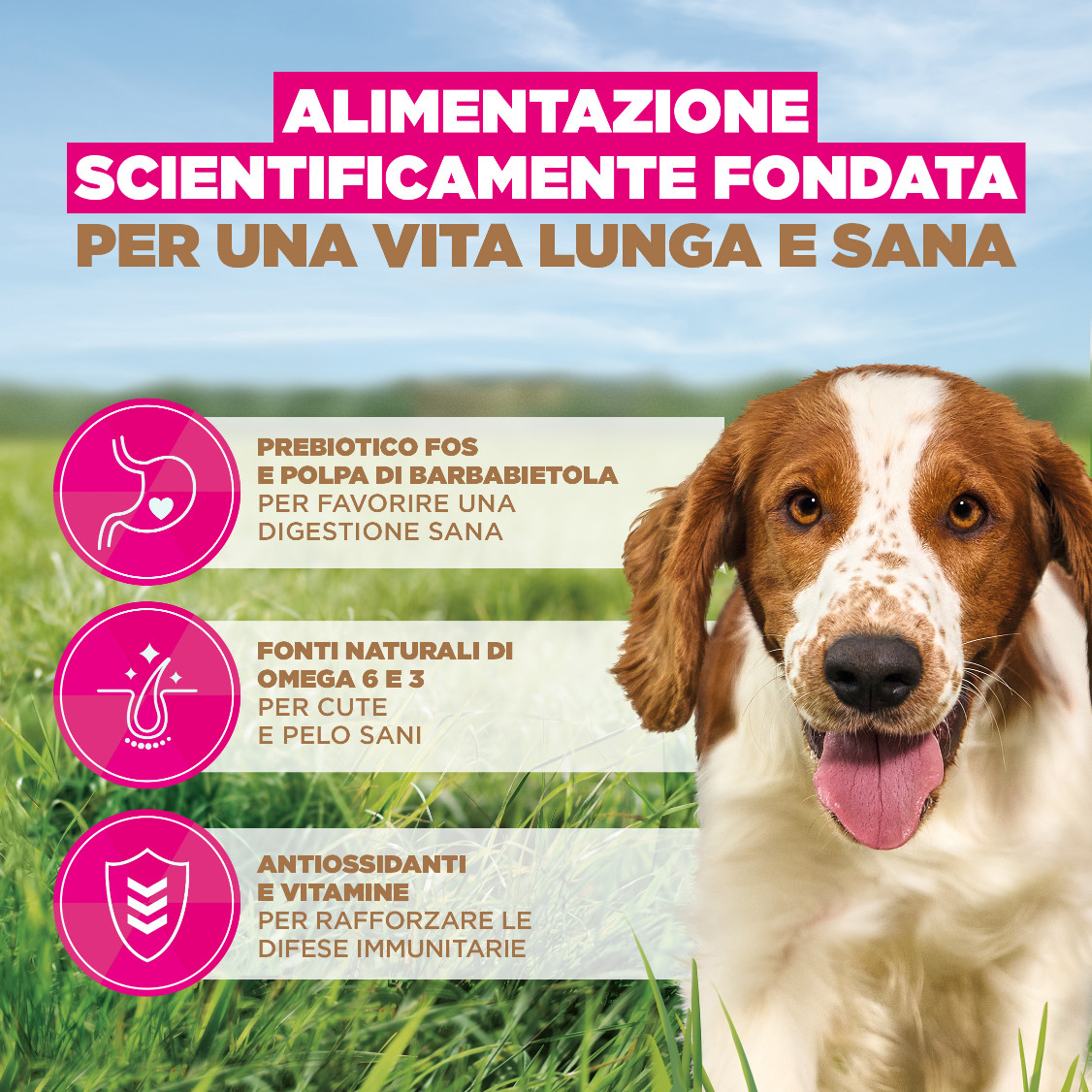 Eukanuba Adult S/M graanvrij zeevis hondenvoer